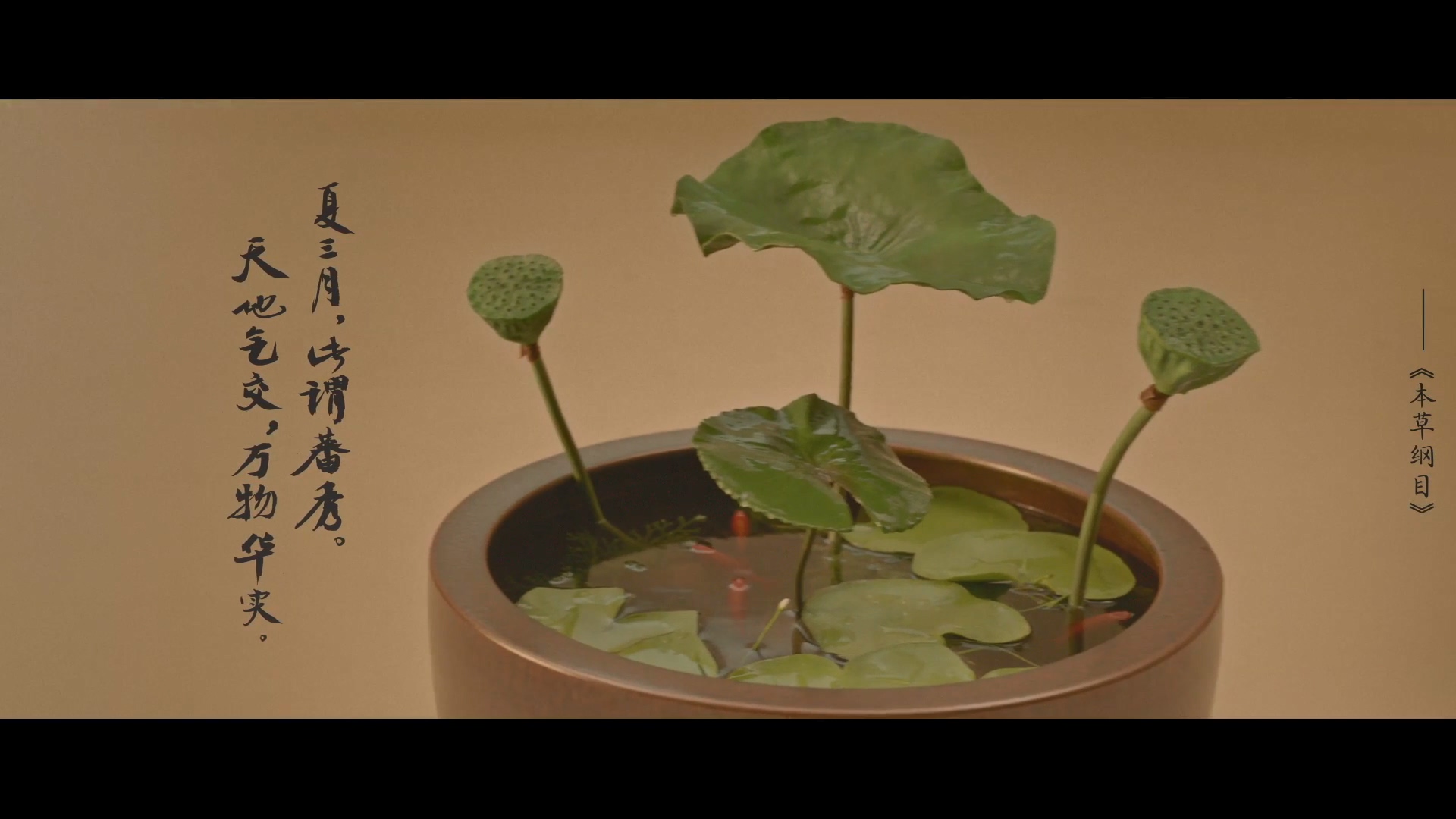 淡水文化